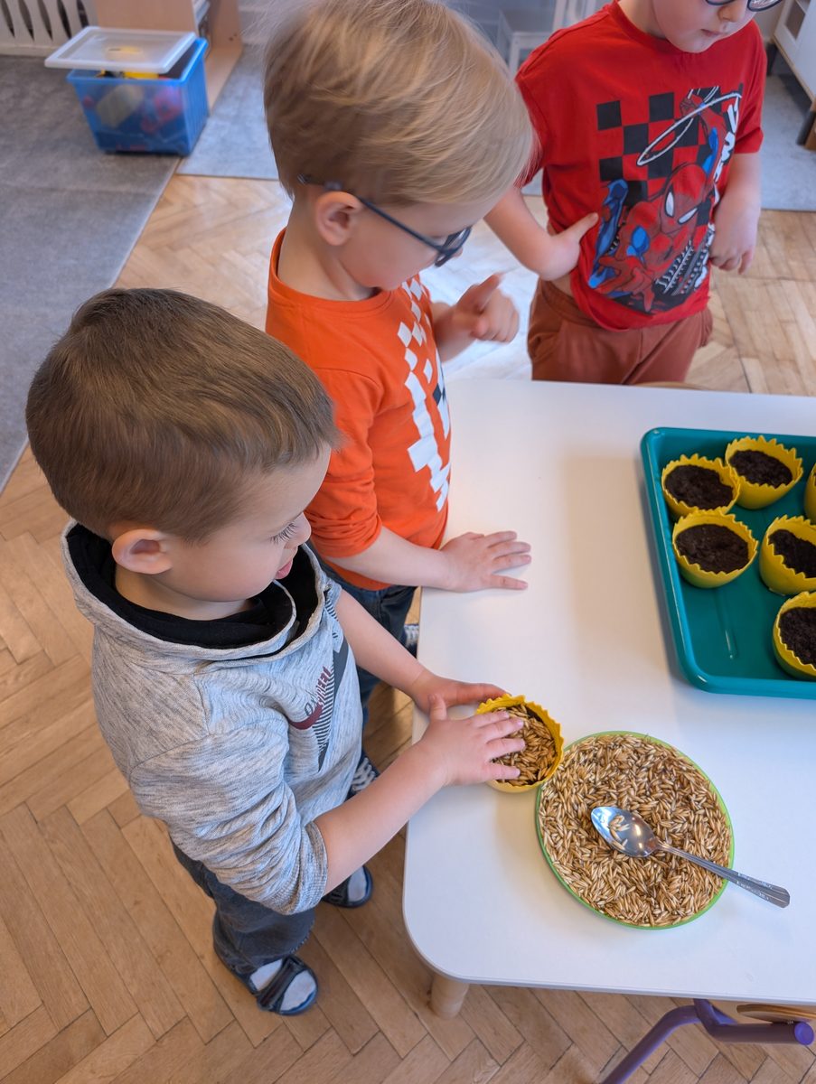 Dzieci z grupy Motylki podczas siania owsa