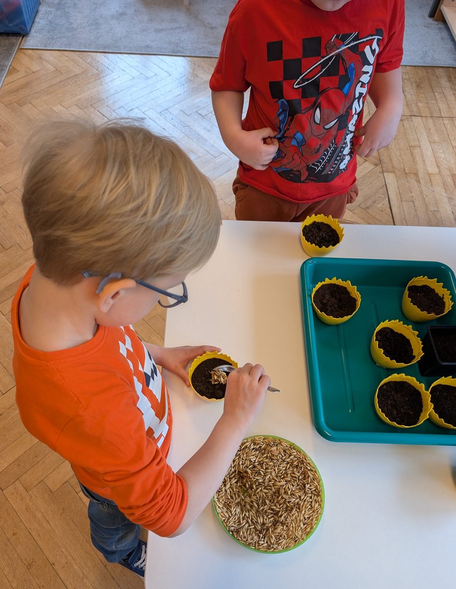 Dzieci z grupy Motylki podczas siania owsa