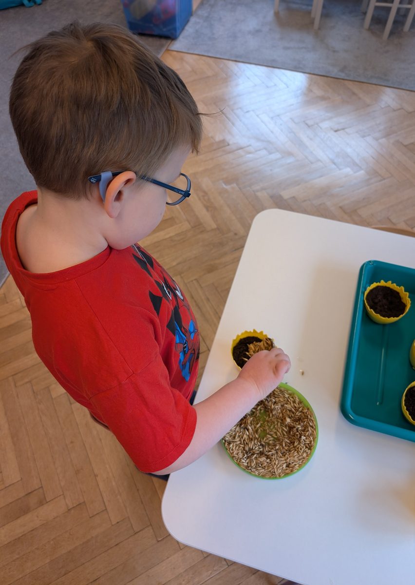 Dzieci z grupy Motylki podczas siania owsa