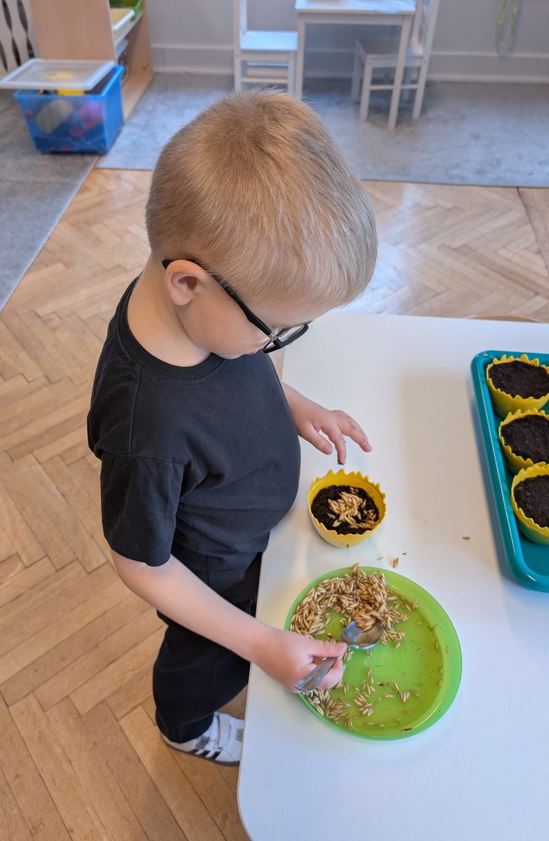 Dzieci z grupy Motylki podczas siania owsa