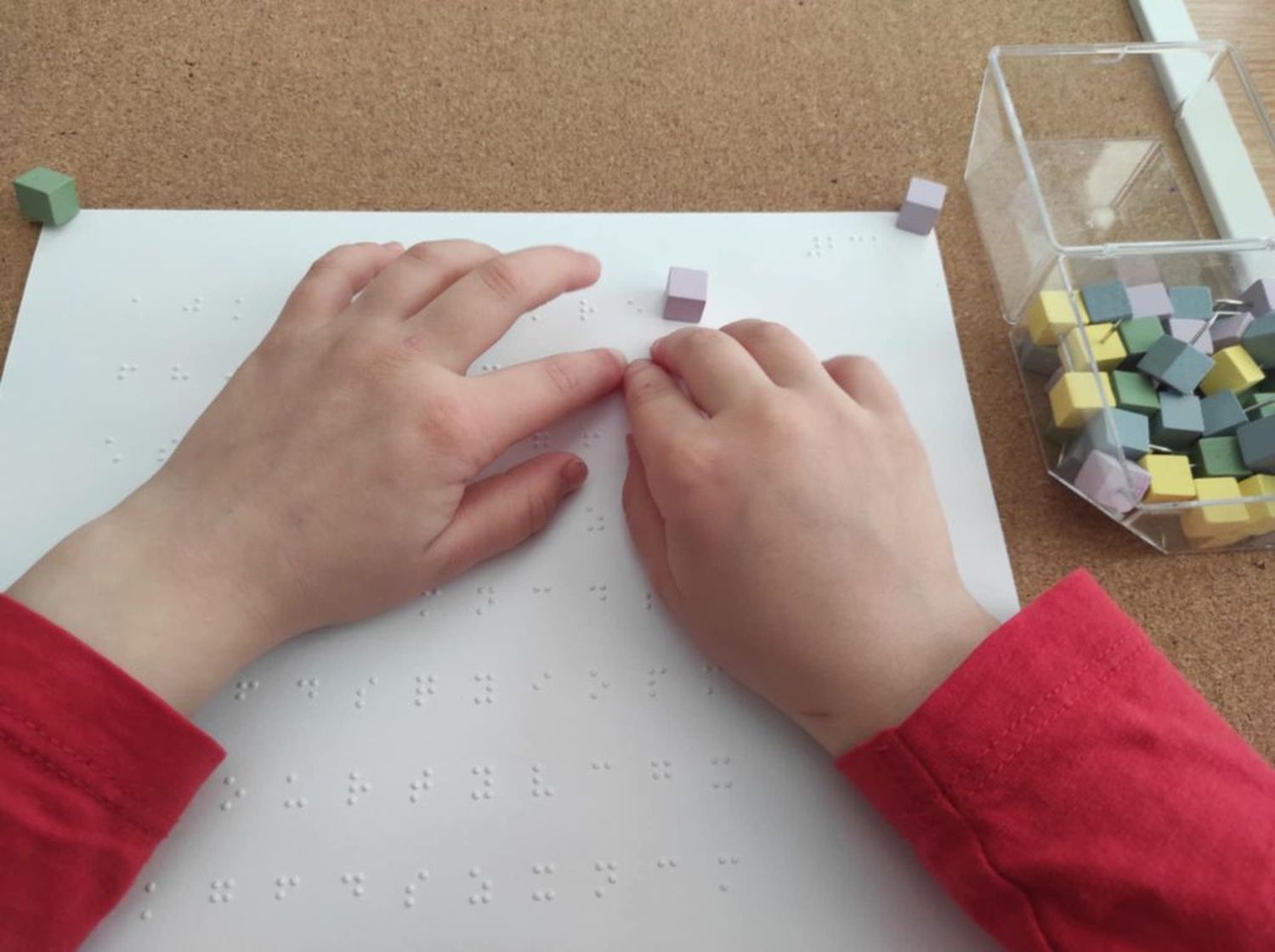 Zajęcia z tyflopedagogiem