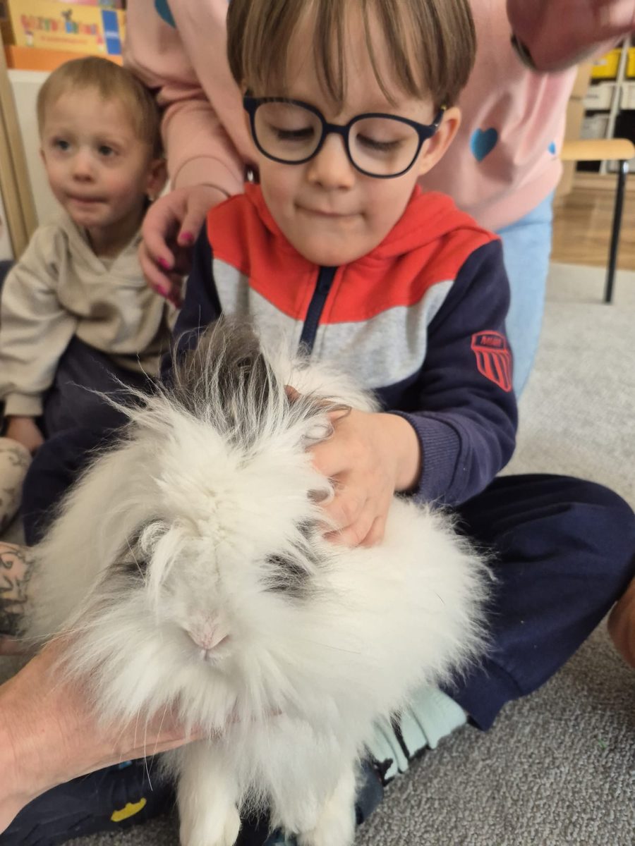 Warsztaty zoologiczne Z miłości do puszystości w Przedszkolu Specjalnym nr 188
