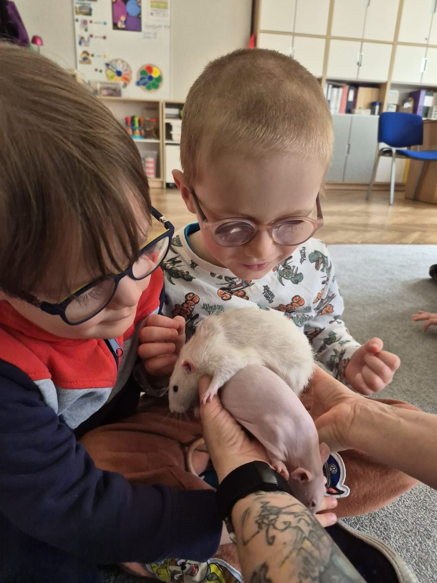 Warsztaty zoologiczne Z miłości do puszystości — zdjęcie 7