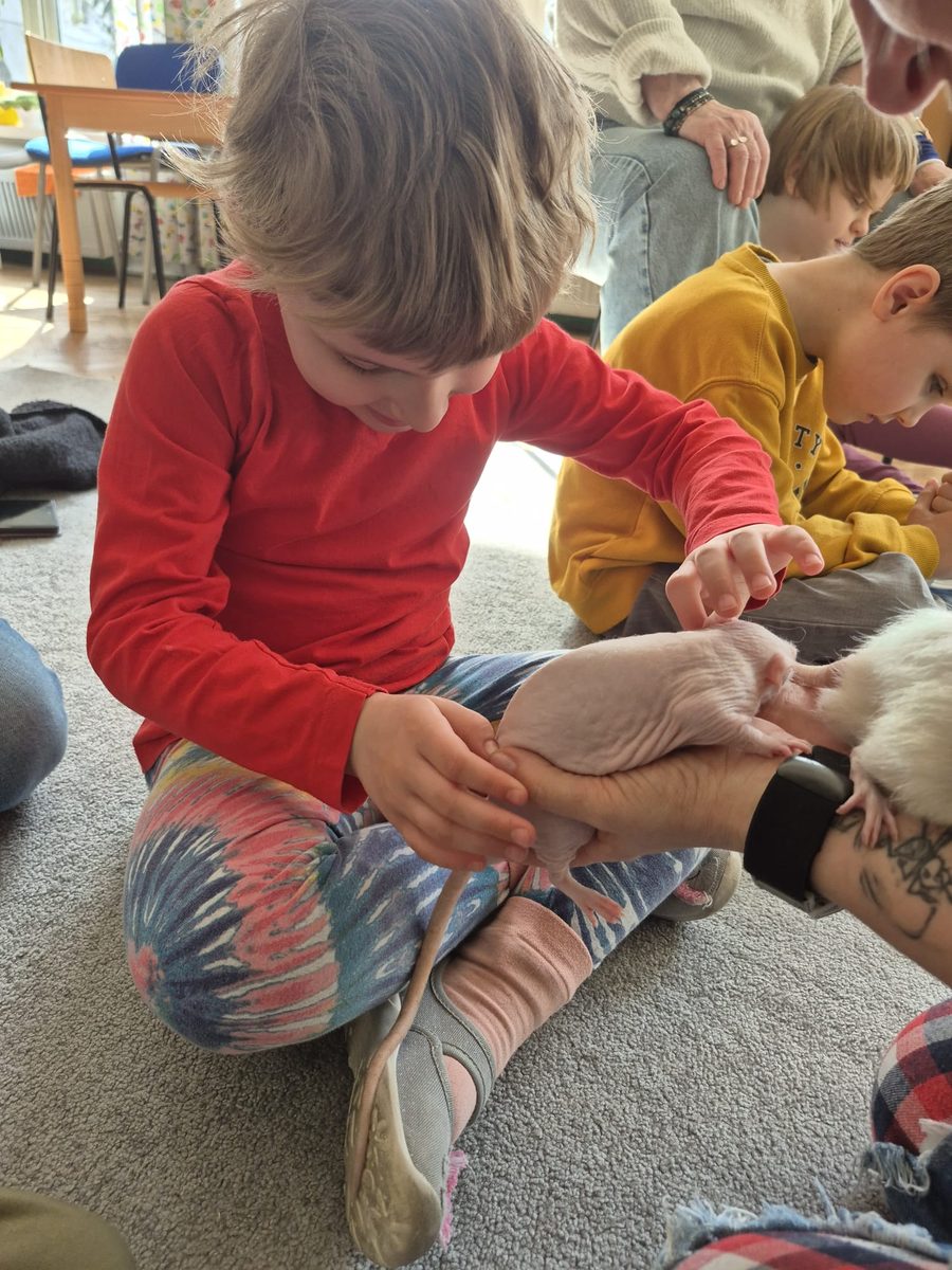 Warsztaty zoologiczne Z miłości do puszystości w Przedszkolu 188