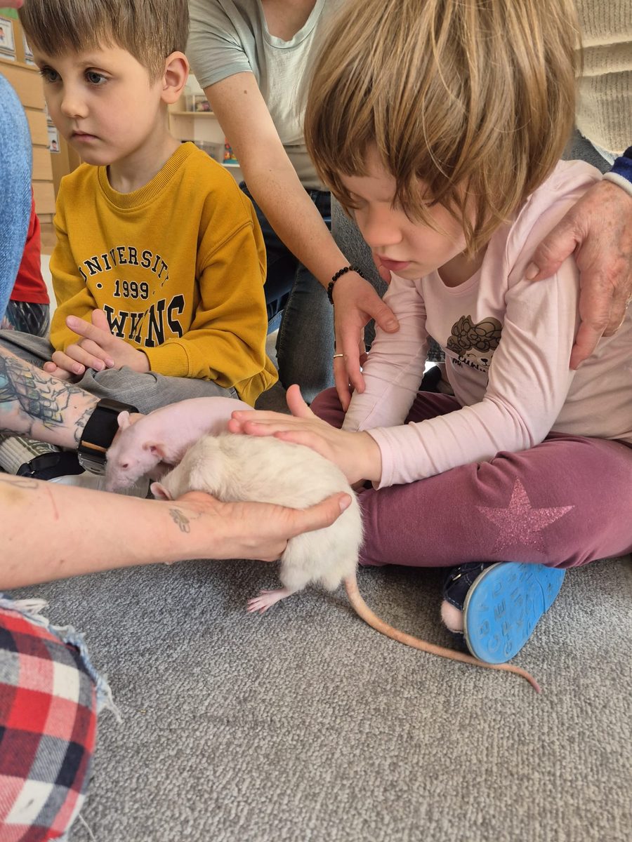 Warsztaty zoologiczne Z miłości do puszystości — zdjęcie 10