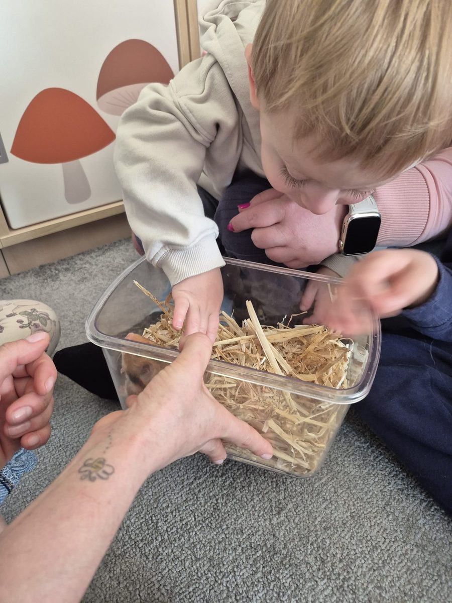 Warsztaty zoologiczne Z miłości do puszystości — zdjęcie 12