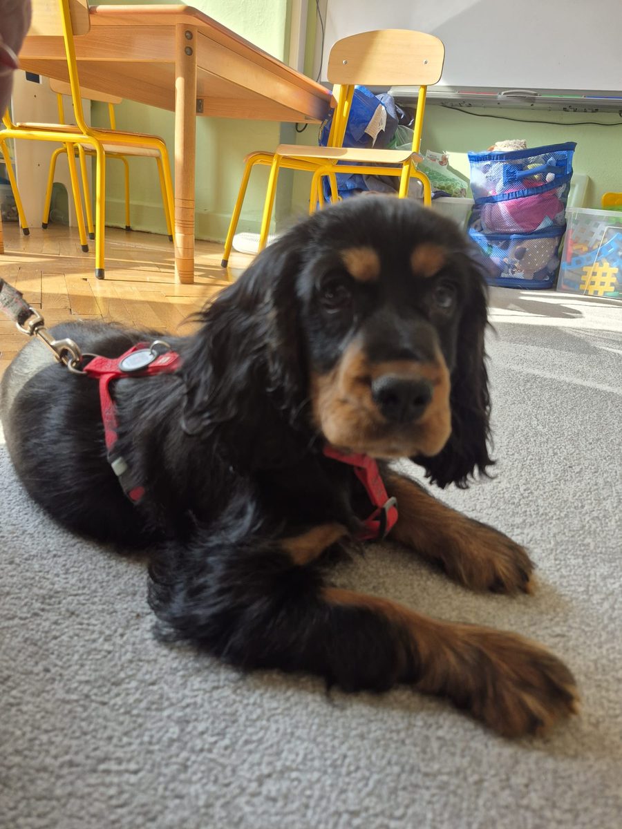 Warsztaty zoologiczne Z miłości do puszystości — zdjęcie 18