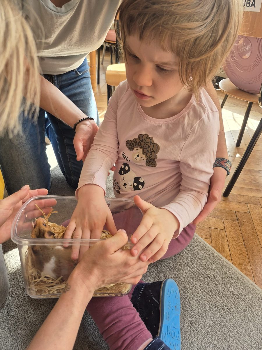 Warsztaty zoologiczne Z miłości do puszystości — zdjęcie 19