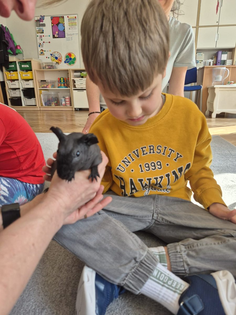 Warsztaty zoologiczne Z miłości do puszystości — zdjęcie 29