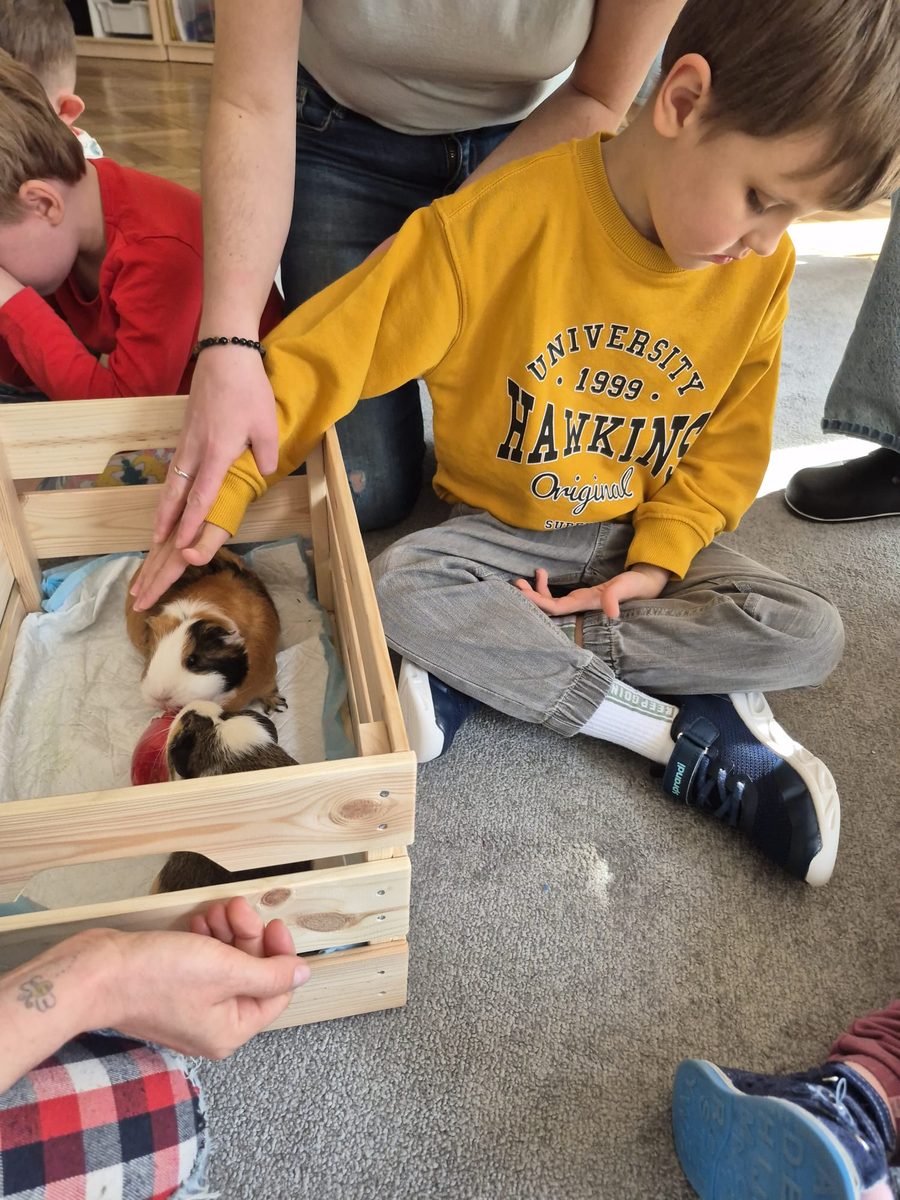 Warsztaty zoologiczne Z miłości do puszystości — zdjęcie 35