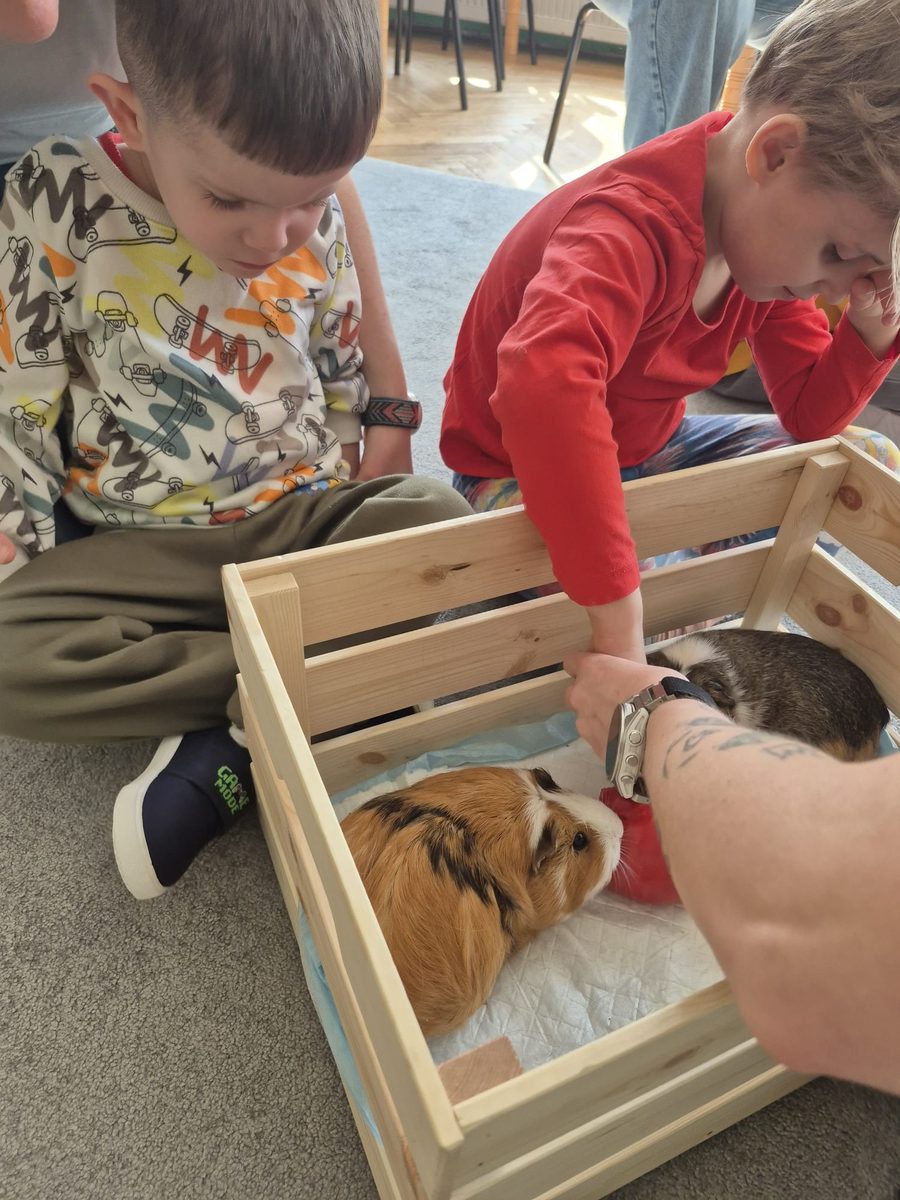 Warsztaty zoologiczne Z miłości do puszystości — zdjęcie 36