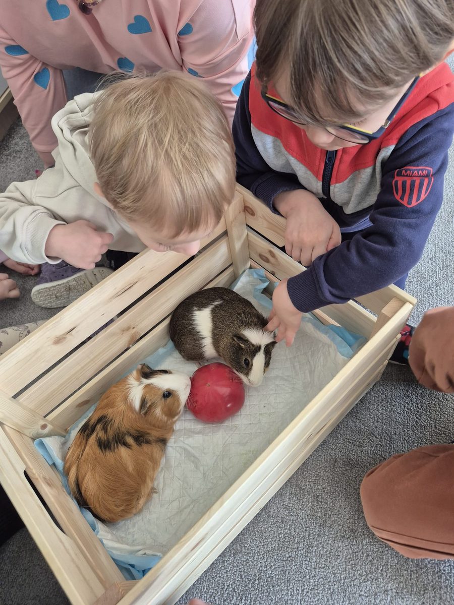 Warsztaty zoologiczne Z miłości do puszystości — zdjęcie 37