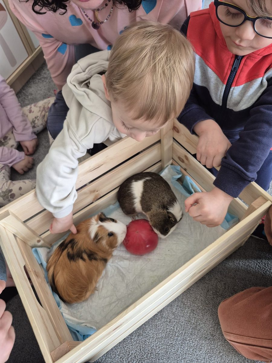 Warsztaty zoologiczne Z miłości do puszystości — zdjęcie 38