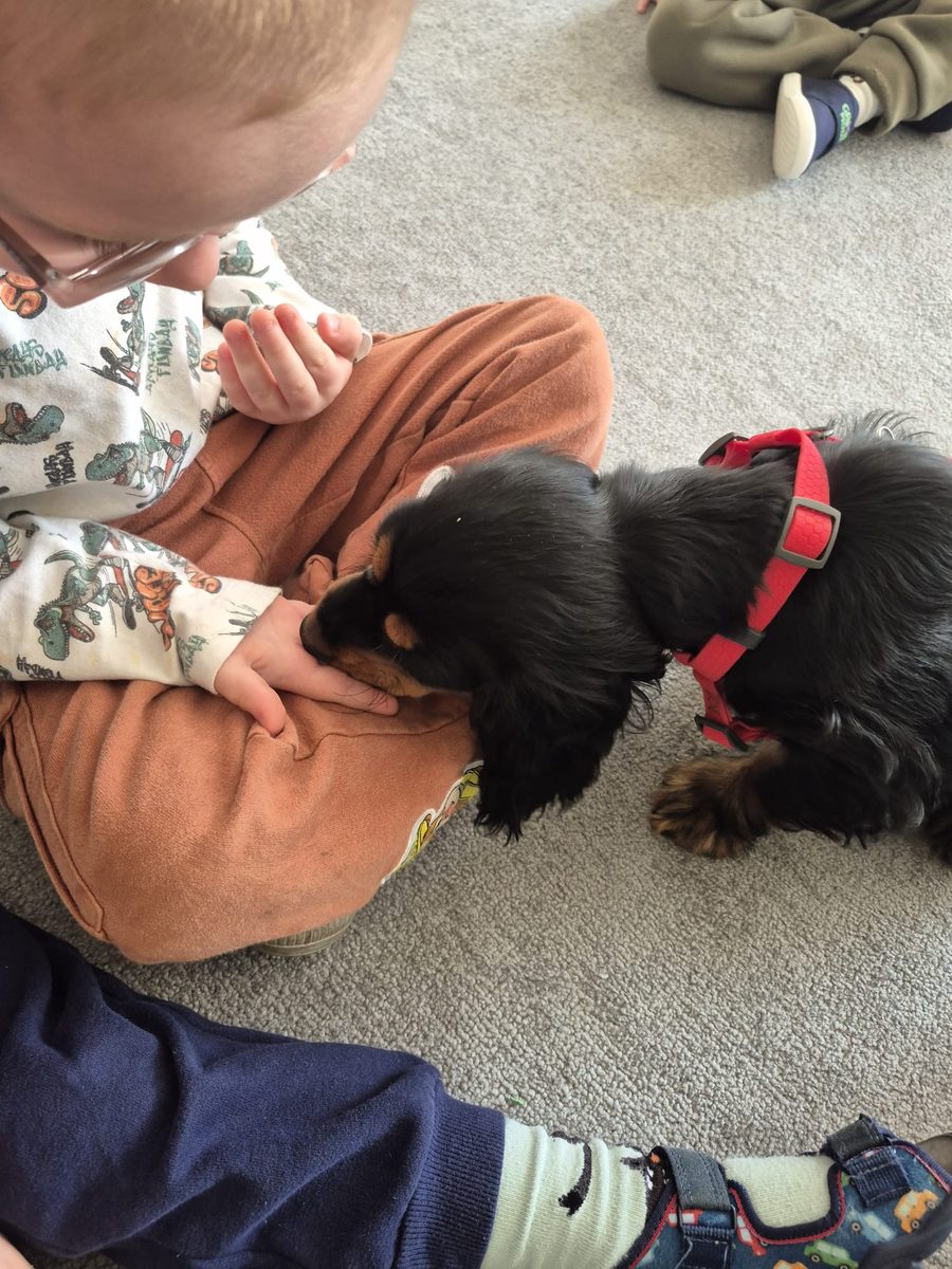 Warsztaty zoologiczne Z miłości do puszystości — zdjęcie 40