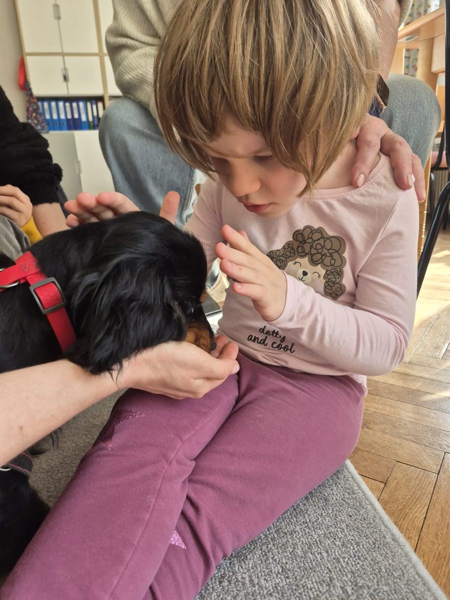 Warsztaty zoologiczne Z miłości do puszystości — zdjęcie 41