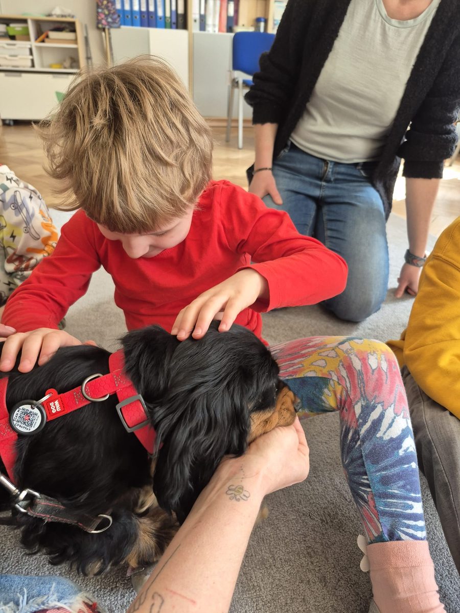 Warsztaty zoologiczne Z miłości do puszystości — zdjęcie 44